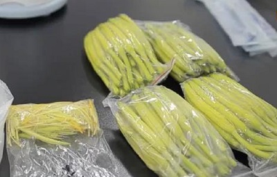 飯堂承包公司綠都膳食告訴您：黃花菜的正確食用方法及儲存方法